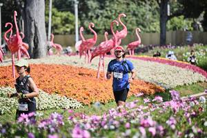 BIB: 
                            <button type="button" onclick="openModal(27793733)" class="btn btn-primary btn-sm float-right btn-popup" data-toggle="modal" data-target=".modal-high-quality">
                        <i class="fas fa-shopping-cart"></i> Add to Cart
                    </button>
                                            <button type="button" onclick="isThisMe(27793733, true)" class="btn btn-success btn-sm float-right btn-popup btn-isme hidden" data-toggle="tooltip" data-placement="bottom" title="นี่คือรูปของคุณใช่ไหม คลิกที่นี่เพื่อเอาเข้าอัลบั้ม">
                        <i class="fas fa-plus"></i> Add to album
                    </button>
                    <button type="button" onclick="isThisMe(27793733, false)" class="btn btn-warning btn-sm float-right btn-popup btn-isnotme hidden">
                        <i class="fas fa-ban"></i> Remove from album
                    </button>